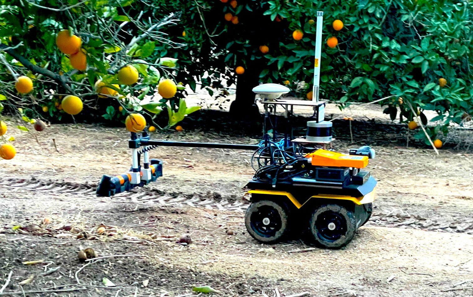 A rugged outdoor robot working in an orchard